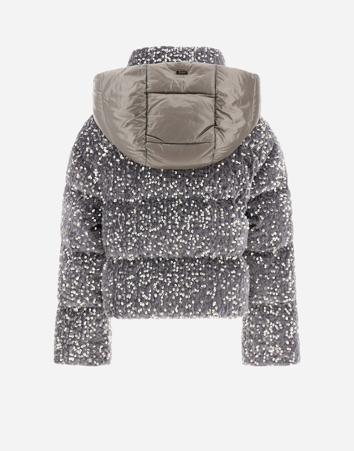Herno Bomber Jacket In Velvet Paillettes And Nylon Ultralight In Light Grey