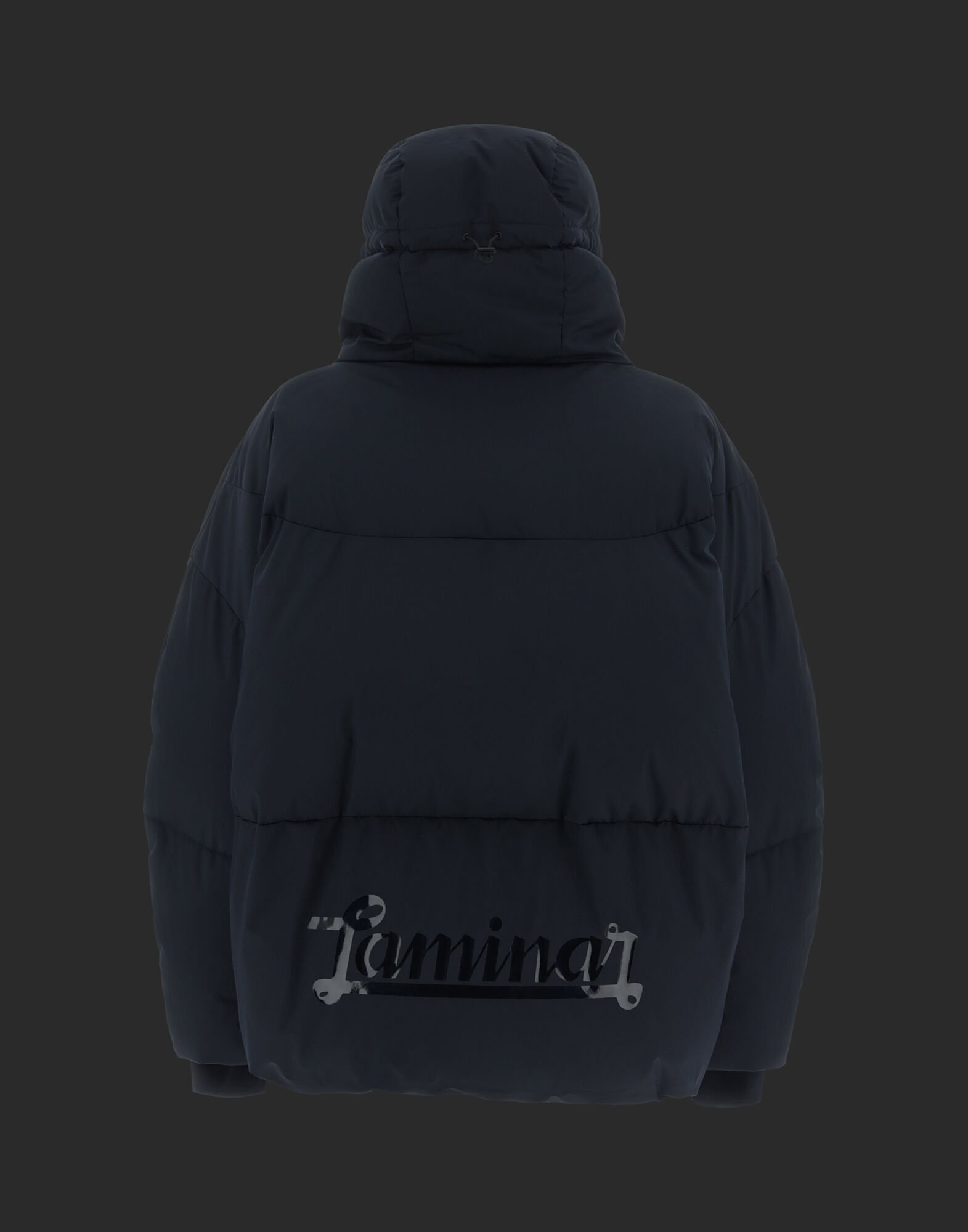 HERNO ヘルノ ラミナー GORE-TEXジャケット 50サイズ ヘルノ ダウンジャケット ラミナー メンズ コート GORE-TEX 新作